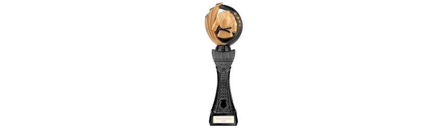 RENEGADE 2 TOWER MARTIAL ARTS LEGEND TROPHY - 4 SIZES - 25CM - 33.5CM